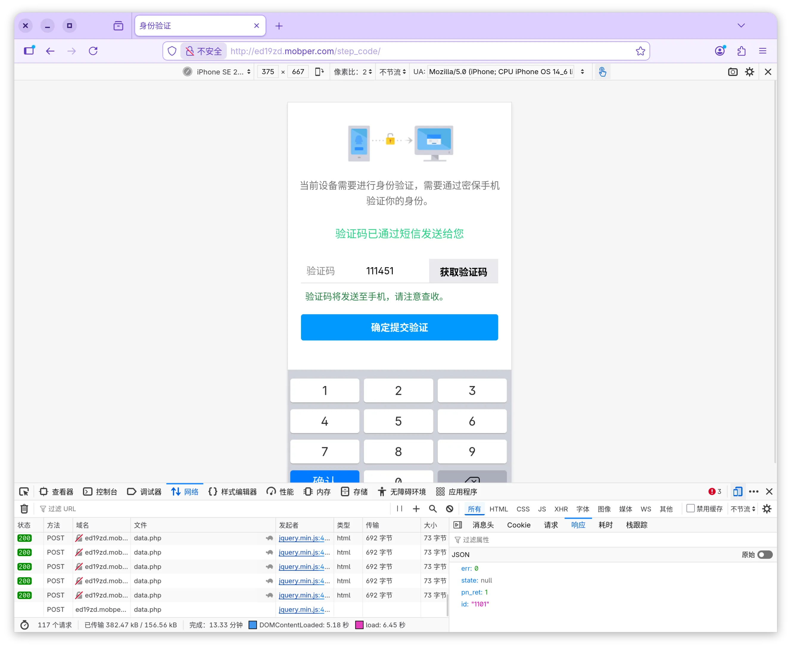 诈骗网站验证码输入页截图